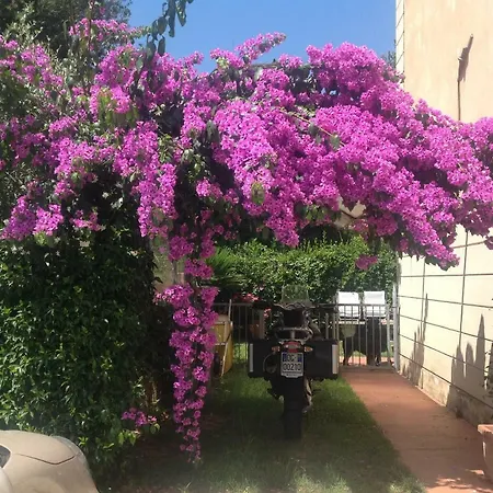 Apartament A Casa Di Marcella Piza
