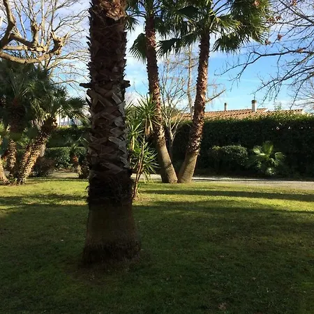 A Casa Di Marcella Pisa
